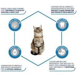 Affinity Advance Adult Huhn & Reis - Katze 8 Affinity Advance Adult Huhn & Reis - Katze -Almo Trixie Verkaufe affinity advance adult kip en rijst kat 178249 0500 none