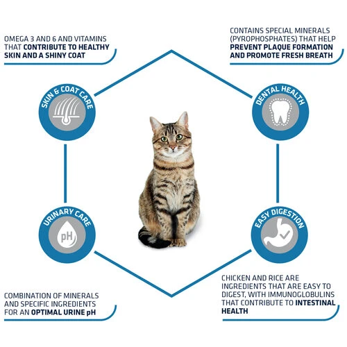 Affinity Advance Adult Huhn & Reis - Katze 3 Affinity Advance Adult Huhn & Reis - Katze – Bild 3