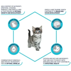 Affinity Advance Kitten Huhn Und Reis -Almo Trixie Verkaufe affinity advance kitten kip en rijst kat 178231 0500 none