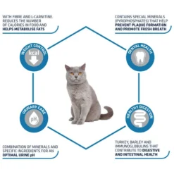 Affinity Advance Sterilized Pute - Katze -Almo Trixie Verkaufe affinity advance sterilized kalkoen kat 178201 0500 none