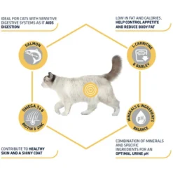 Affinity Advance Sterilized Salmon Sensitive - Katze 14 Affinity Advance Sterilized Salmon Sensitive - Katze -Almo Trixie Verkaufe affinity advance sterilized salmon sensitive kat 178282 0500 none