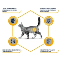 Affinity Advance Veterinary Diets Renal Katze 13 Affinity Advance Veterinary Diets Renal Katze -Almo Trixie Verkaufe affinity advance veterinary diets renal kat 176884 0500 none