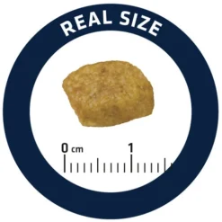 Affinity Advance Veterinary Diets Renal Katze 12 Affinity Advance Veterinary Diets Renal Katze -Almo Trixie Verkaufe affinity advance veterinary diets renal kat 176890 0500 none