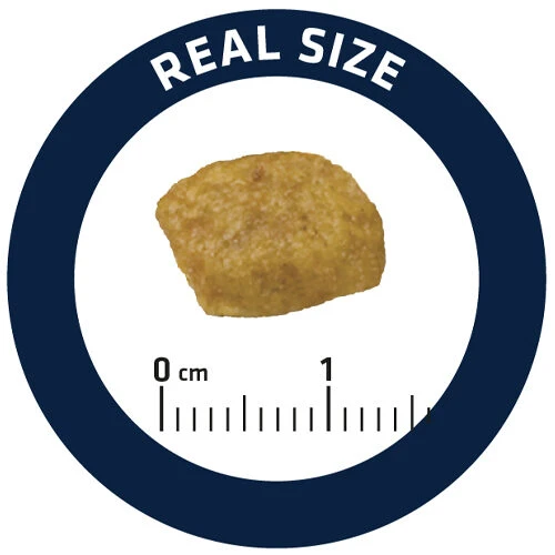 Affinity Advance Veterinary Diets Renal Katze 6 Affinity Advance Veterinary Diets Renal Katze – Bild 6