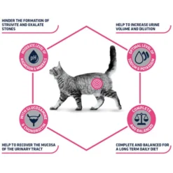 Affinity Advance Veterinary Diets Urinary Katze -Almo Trixie Verkaufe affinity advance veterinary diets urinary kat 176905 0500 none