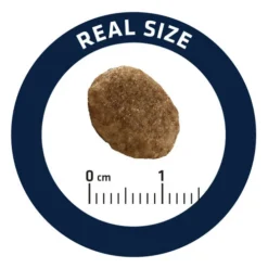 Affinity Advance Veterinary Diets Urinary Katze -Almo Trixie Verkaufe affinity advance veterinary diets urinary kat 176911 0500 none