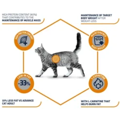 Affinity Advance Veterinary Diets Weight Balance Katze -Almo Trixie Verkaufe affinity advance veterinary diets weight balance kat 178093 0500 none