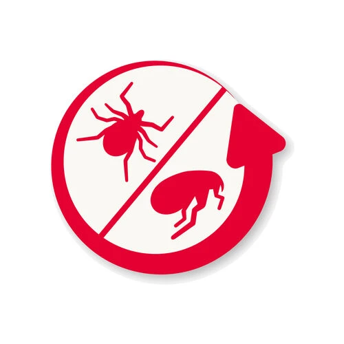 Beaphar Fiprotec Spray 3 Beaphar Fiprotec Spray – Bild 3