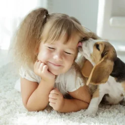 Beaphar Fiprotec Spray 9 Beaphar Fiprotec Spray -Almo Trixie Verkaufe beaphar fiprotec spray 213632 0500 none