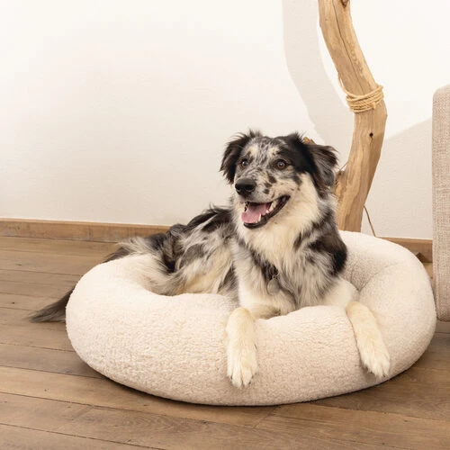 Beeztees Memory Foam Jaxx - Hundekorb - Plüsch 9 Beeztees Memory Foam Jaxx - Hundekorb - Plüsch – Bild 9