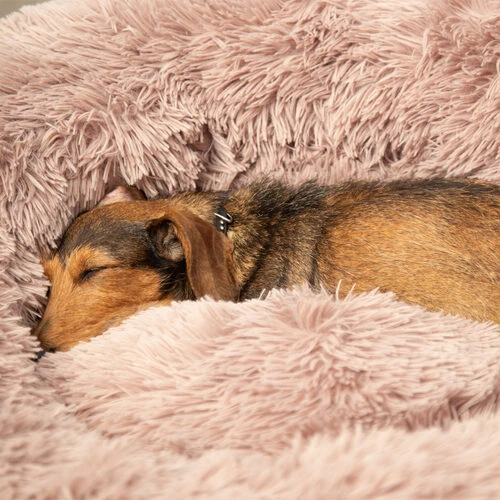 Beeztees Yali Plüsch-Donut-Bett - Grau 4 Beeztees Yali Plüsch-Donut-Bett - Grau – Bild 4