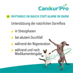 Canikur® Pro Diät-Ergänzungsfuttermittel Für Hunde 7 Canikur® Pro Diät-Ergänzungsfuttermittel Für Hunde -Almo Trixie Verkaufe canikur pro 213692 0500 none