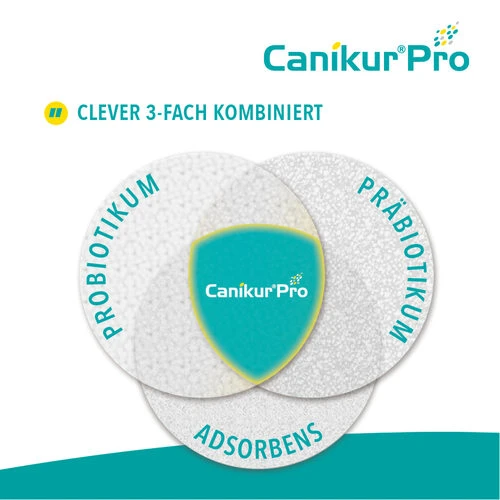 Canikur® Pro Diät-Ergänzungsfuttermittel Für Hunde 4 Canikur® Pro Diät-Ergänzungsfuttermittel Für Hunde – Bild 4