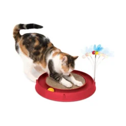 Catit Play Katzenspielzeug Mit Kratzfläche -Almo Trixie Verkaufe catit play ball toy with scratch pad 123866 0500 none
