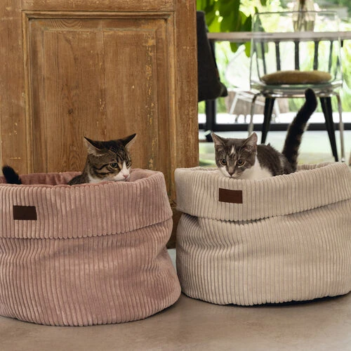 Designed By Lotte Gerippter Katzenkorb 8 Designed By Lotte Gerippter Katzenkorb – Bild 8