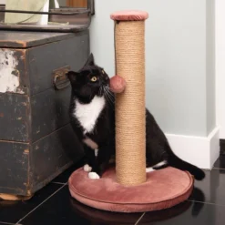 Designed By Lotte Kratzbaum Yenna -Almo Trixie Verkaufe designed by lotte krabpaal yenna 164443 0500 none