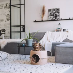 District 70 Bunker -Almo Trixie Verkaufe district 70 bunker 190954 0500 none