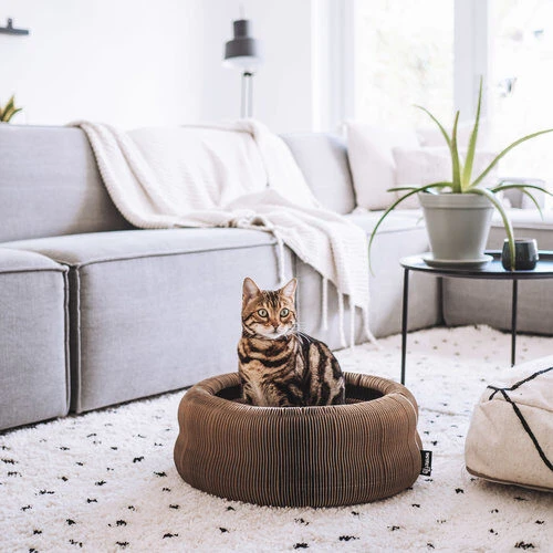 District 70 Maze 2 District 70 Maze – Bild 2