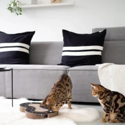 District 70 Snake 9 District 70 Snake -Almo Trixie Verkaufe district 70 snake kattenspeelgoed 190415 0500 none