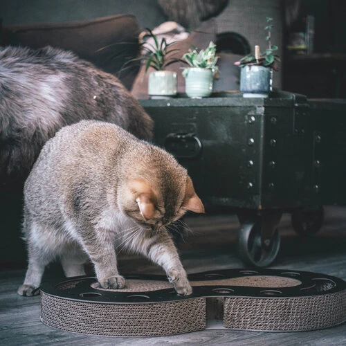 District 70 Snake 3 District 70 Snake – Bild 3