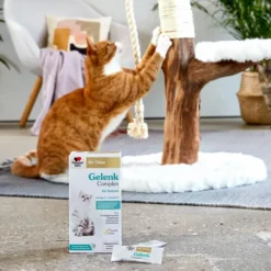 Doppelherz Gelenk Complex Für Katzen 12 Doppelherz Gelenk Complex Für Katzen -Almo Trixie Verkaufe doppelherz gelenk complex fuer katzen 195053 0500 none