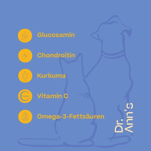 Dr. Ann's Mobility Support Plus 2 Dr. Ann's Mobility Support Plus – Bild 2