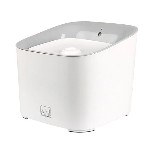 Ebi Manoa Katzenbrunnen 3 Ebi Manoa Katzenbrunnen – Bild 3