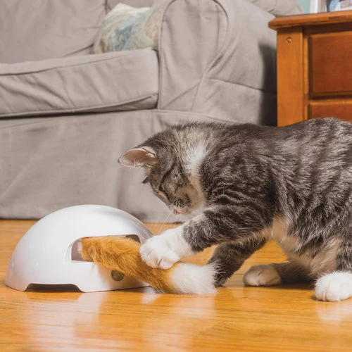 FroliCat Fox 5 FroliCat Fox – Bild 5