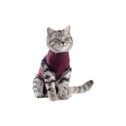 Jacketz Medical Body Suit Für Katzen 8 Jacketz Medical Body Suit Für Katzen -Almo Trixie Verkaufe jacketz medical body suit kat 154129 0500 none