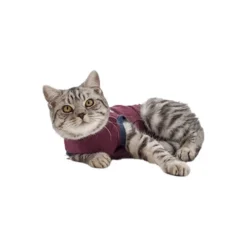 Jacketz Medical Body Suit Für Katzen 9 Jacketz Medical Body Suit Für Katzen -Almo Trixie Verkaufe jacketz medical body suit kat 154147 0500 none
