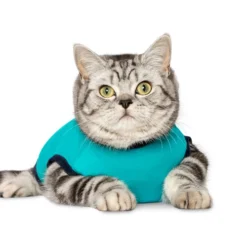 Jacketz Medical Body Suit Für Katzen 11 Jacketz Medical Body Suit Für Katzen -Almo Trixie Verkaufe jacketz medical body suit kat 209783 0500 none