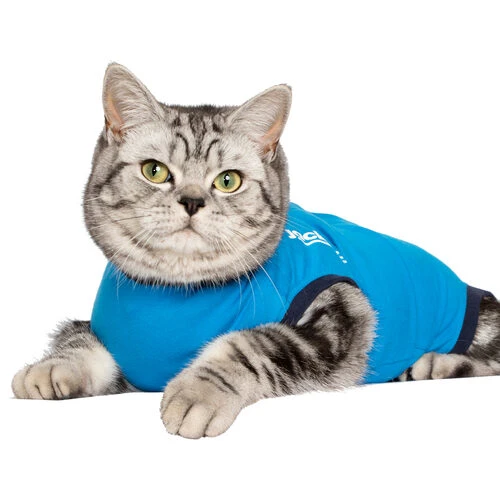 Jacketz Medical Body Suit Für Katzen 2 Jacketz Medical Body Suit Für Katzen – Bild 2