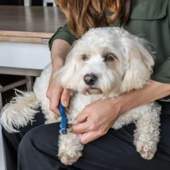 Mikki Doodle De-Matter -Almo Trixie Verkaufe mikki doodle de matter 194483 0500 none