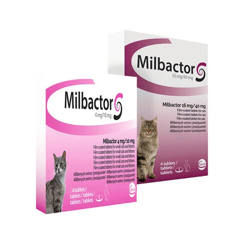 Milbactor Katze 1 Milbactor Katze