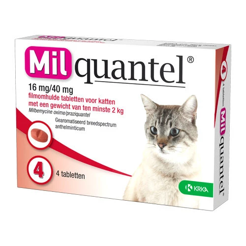 Milquantel Katze 5 Milquantel Katze – Bild 5