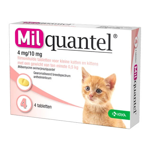 Milquantel Katze 3 Milquantel Katze – Bild 3