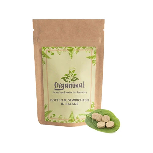 Organimal Knochen Und Gelenken In Balance 1 Organimal Knochen Und Gelenken In Balance