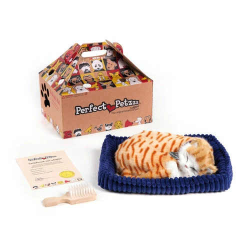 Perfect Petzzz Soft Orangefarbene Tabby 1 Perfect Petzzz Soft Orangefarbene Tabby