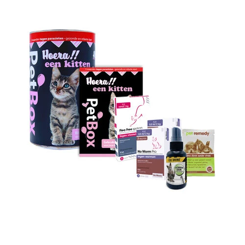 PetBox Kitten 2 PetBox Kitten – Bild 2