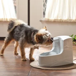 Petsafe Drinkwell Mini-Trinkbrunnen -Almo Trixie Verkaufe petsafe drinkwell mini drinkfontein 12 l 208061 0500 none