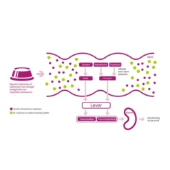 Porus One 5 Porus One -Almo Trixie Verkaufe porus one 134455 0500 none