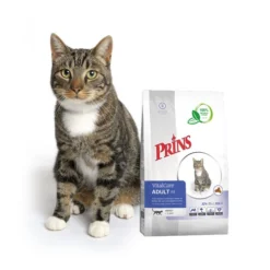 Prins VitalCare Cat Adult Fit 8 Prins VitalCare Cat Adult Fit -Almo Trixie Verkaufe prins vitalcare cat adult fit 172291 0500 none