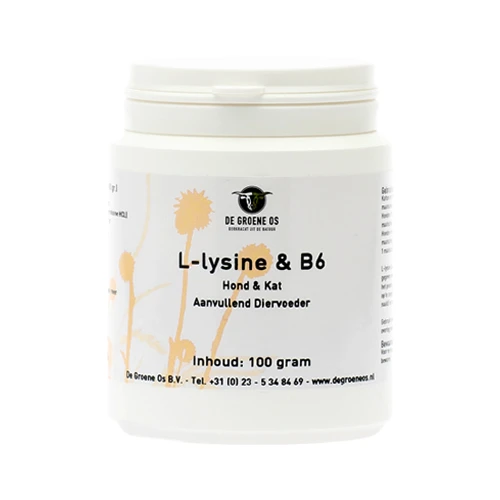 Groene Os L-Lysine B6 - Hund/Katze 1 Groene Os L-Lysine B6 - Hund/Katze