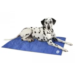 Scruffs Cooling Mat -Almo Trixie Verkaufe product scruffs cooling mat none 4 1472200004 76951