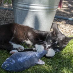 Robocat Lachs 9 Robocat Lachs -Almo Trixie Verkaufe robocat zalm 168219 0500 none