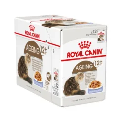 Royal Canin Ageing 12+ In Jelly - Katzenfutter 10 Royal Canin Ageing 12+ In Jelly - Katzenfutter -Almo Trixie Verkaufe royal canin ageing 12 in jelly 114191 0500 none