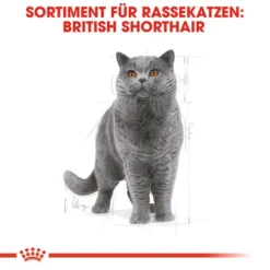 Royal Canin British Shorthair Adult - Katzenfutter -Almo Trixie Verkaufe royal canin british shorthair adult kattenvoer 137524 0500 none
