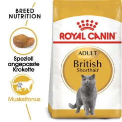 Royal Canin British Shorthair Adult - Katzenfutter