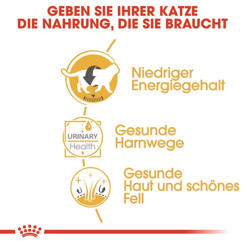 Royal Canin British Shorthair Adult Wet - Katzenfutter 2 Royal Canin British Shorthair Adult Wet - Katzenfutter – Bild 2