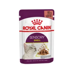 Royal Canin FHN Sensory Smell In Sauce